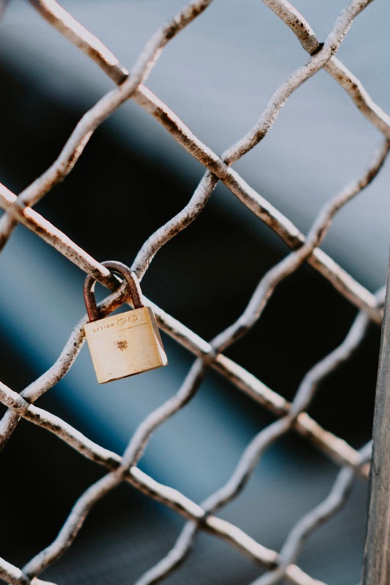 A detailed close-up of a padlock attached to a rusty metal chain link fence outdoors.